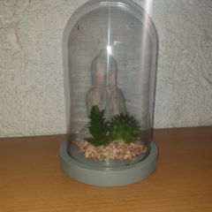 Meditating Buddha in Glass Dome
