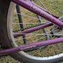Apollo Jewel - Girls Mountain Bike Image 4
