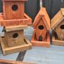 bird box Image 4