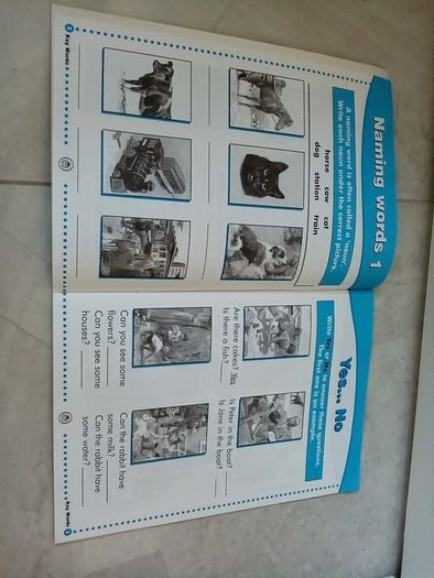 Ladybird activity book