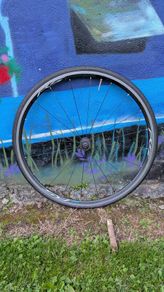 Road bike wheel Shimano RS