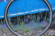 Road bike wheel Shimano RS