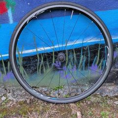 Road bike wheel Shimano RS