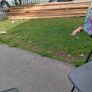 2inch x4inch timber lents Image 2
