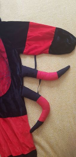Spider costume