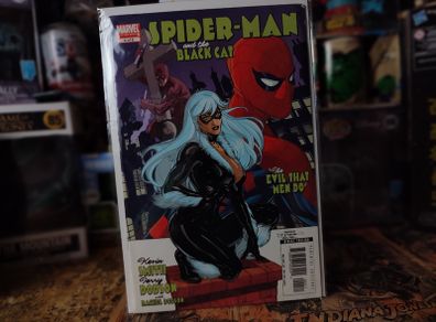 Spider-Man Black Cat: The Evil That Men Do ! Issue #4 ! 2006 ! by Marvel