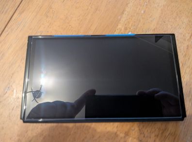 Nintendo Switch (Spares and repairs)