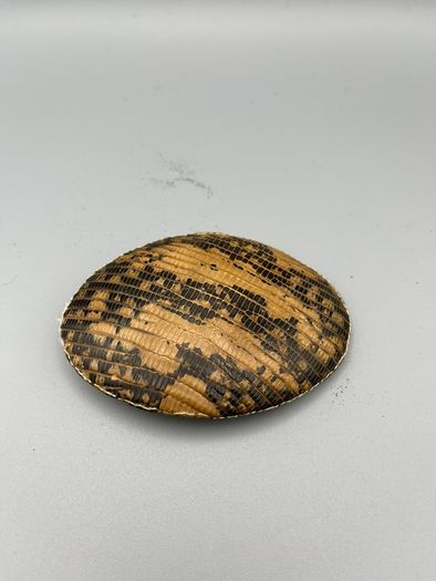 Vintage Snakeskin Pattern Belt Buckle - Oval Western Style, Pre-Owned with Patin
