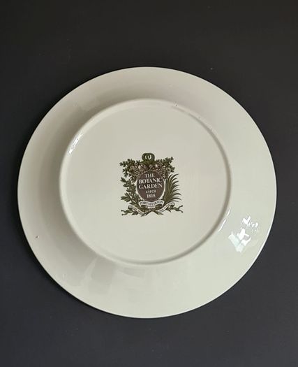 Portmeirion Botanic Garden Venus Fly Trap Dinner Plate 27cm Vintage England 1972+
