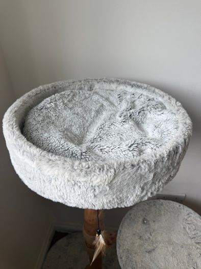 Cat tree : cat bed