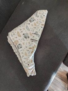 car blanket