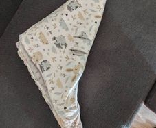 car blanket