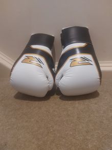 Boxing gloves