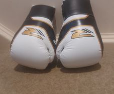 Boxing gloves
