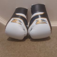 Boxing gloves