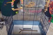 bird cage