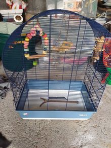bird cage