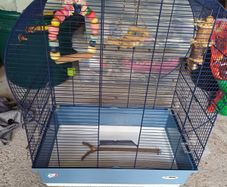 bird cage