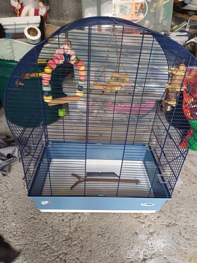 bird cage