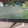 Hedge Trimmer Extendable Image 2