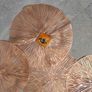 Rose gold table mats 9 euro each Image 2