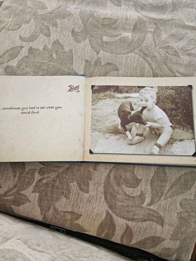 When I Were A Lad.  Snapshots From A Time That Health And Safety Forgot. By Andrew Davies. First Edition Hardback In Good Condition.  See Photos For Same.