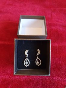 Silver Earrings