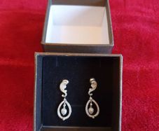 Silver Earrings