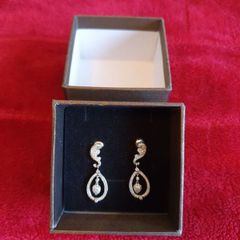 Silver Earrings