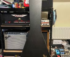 Epiphone Flying V Hard Case