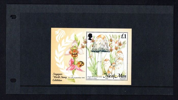 1995 Isle of Man Fungi Commemorative Stamp Miniature Sheet Presentation Pack