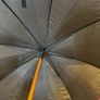 umbrella Image 8