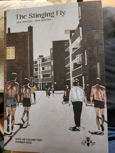 The Stinging Fly New Writings - New Writing. Issue 48 Volume 2  Summer 2023. Firt Edition  Paperback In Good Condition.