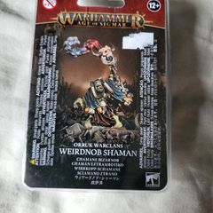 Games Workshop Warhammer AoS Orruk Warclans Weirdnob Shaman Age of Sigmar Iron Jawz