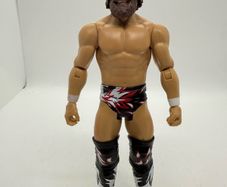 wwe Daniel Bryan action figure