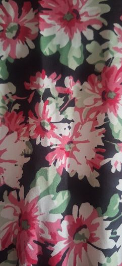 Coast V- Neck Floral Dress.