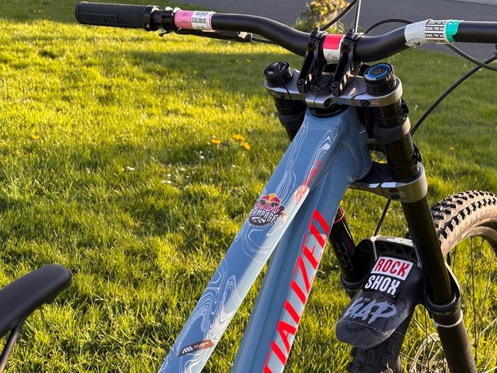 mountain bike specialised demo expert