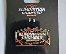 WWE wrestling Elimination Chamber pin