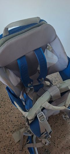 Thule saplings child carrier