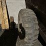 Muck spreader Image 7