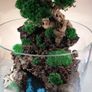 Forest in the jar 4 - H35cm x W25cm Image 2