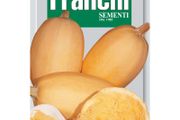 (S) Fr. Spagetti Courgette seeds Large 4g pack (806936)