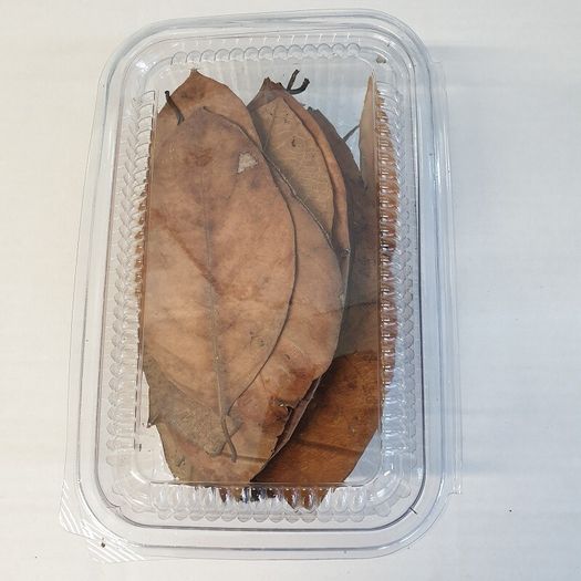 Jack,Maple,Guave,Walnut,Mulberry Leaves ect... 1000ml
