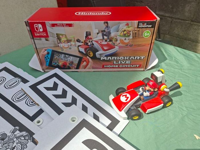Mariocart Live - home circuit.