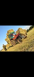 Square bales Hay