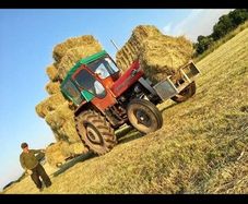 Square bales Hay