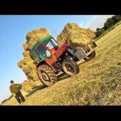 Square bales Hay