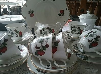 Twenty one Piece China Teaset Regina