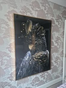poster picture