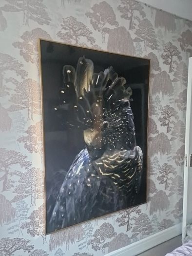 poster picture